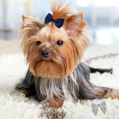 Clipband mini two-inch bows in color variety for outfits.