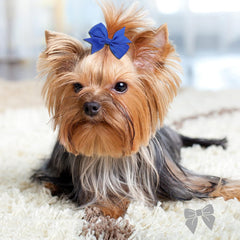 Clipband puppy bows red style close-up showing secure clips for active pets