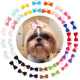 Clipband puppy bows pack with secure rubber bands for daily wear.