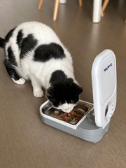 Closer Pets C100 dishwasher-safe-lid promotes quick hygiene after meals.