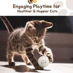 Cloverjoyed ping pong ball dog-fetch in action supports quick play.