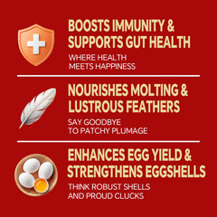 Cluck Chirp feather-support BSFL snack, immune and feather conditioning for birds.