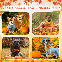 Clysee pet bandanas with sayings design patterns for seasonal photoshoots