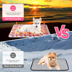 Clysee self-heating cat bed non-slip bottom holds bed in place