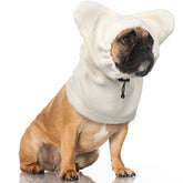 Clysee winter dog hat quiet-ears highlights noise-reduction for calmer walks