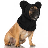 Clysee winter dog hats quiet ears show calm comfort during walks.