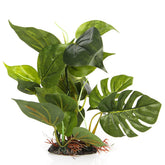 CNZ Aquarium Plastic Plant with ceramic base provides a natural hideout for fish.