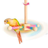 Coalinker spinning perch main unit ready for interactive play and enrichment.