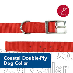 Coastal Double-Ply Dog Collar blue buckle closeup highlights secure metal tongue buckle