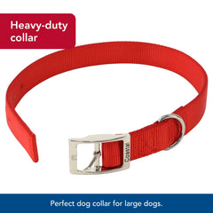 Coastal Double-Ply Dog Collar blue side profile demonstrates comfortable daily-walking fit
