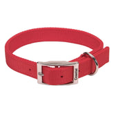 Coastal Double-Ply Dog Collar red buckle demonstrates strong, secure closure for large dogs.
