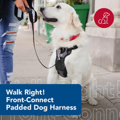 Coastal Front-Connection redirection harness on chest supports smoother leash guidance