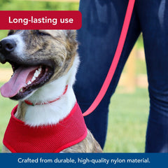 Coastal Pet leash pink flamingo ergonomic handle supports steady control during outdoor trips