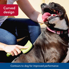 Coastal Pet Safari curved firm slicker brush coated tips closeup shows gentle tangles removal