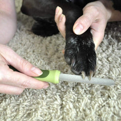 Coastal Pet Safari nail file board shaping nails during grooming