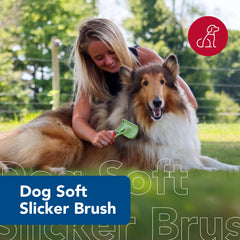 Coastal Pet Safari slicker brush loose-hair removal image reduces shedding around home.