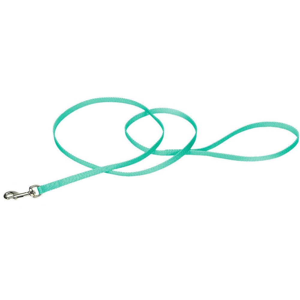 Coastal Pet Single-Ply Dog Leash teal closeup shows sturdy nylon grip for durability