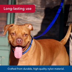 Coastal Pet Single-Ply Dog Leash teal demonstrates durability under pulls
