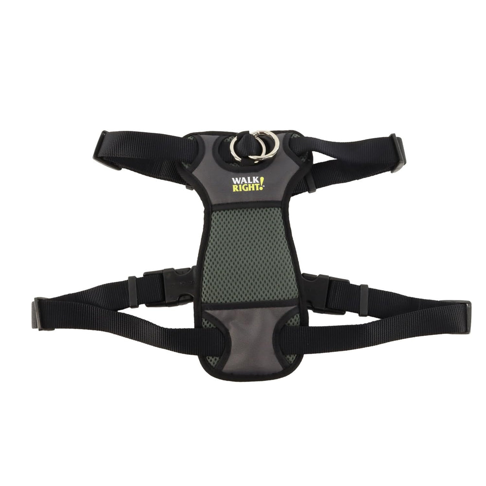 Coastal Walk Right Front-Connect padded harness on dog during a no-pull training walk