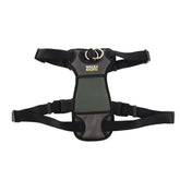 Coastal Walk Right Front-Connect padded harness on dog during a no-pull training walk
