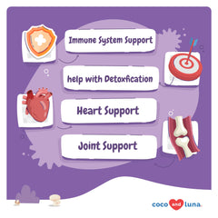 Coco and Luna Mushroom Complex dog lions mane soft chews aids digestion and cognitive calm