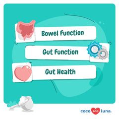 Coco and Luna Probiotics Cat Powder Spoon demonstrates easy serving for meals.