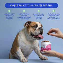 Coco and Luna soft chews close-up highlighting texture and palatability for daily supplementation.