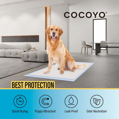 COCOYO Best Value Training Pads six-layer design supports high absorbency and durability.