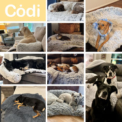 Codi Calming Dog Bed non-slip bottom keeps sofa secure during pets movements.
