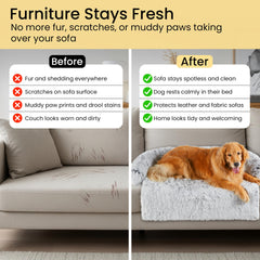 Codi removable cover is machine washable for easy cleanup after messes.