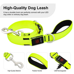 Colaseeme durable nylon leash with metal hook for long-wear daily use.