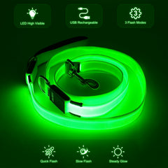 Colaseeme LED dog leash USB-rechargeable for easy nighttime visibility.