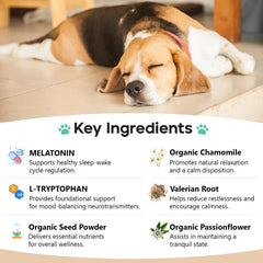 ColEaze Calming Chews chicken-flavor treats appealing to dogs for daily calmness