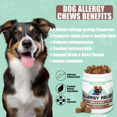 ColEaze dog-allergy-chews-salmon-flavor close-up emphasizes tasty daily use.