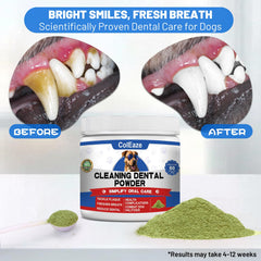 Coleaze dog teeth powder for meal-ready food shows easy integration into meals.