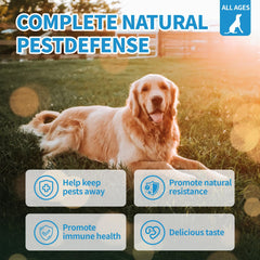 ColEaze skin-coat support chews help dogs look and feel healthier