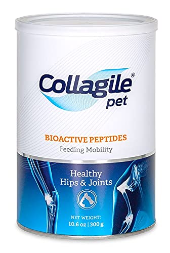 Collagile pet powder jar closeup illustrating tasteless joint support for dogs.