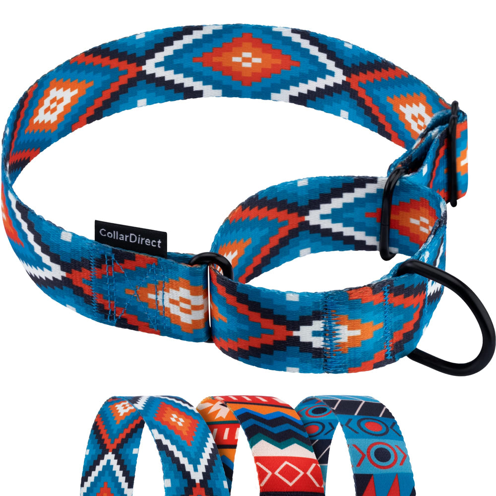 CollarDirect Aztec Martingale Collar blue tribal pattern aids gentle training on dogs