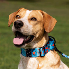 CollarDirect Aztec Martingale Collar neck measurement guide image to help proper fit.
