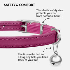 CollarDirect cat collar with elastic safety strap reduces snag risk during playtime