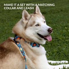 CollarDirect dog muzzle helps curb barking and chewing during outings