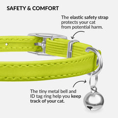 CollarDirect kitten collar with elastic release for snag safety