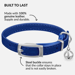 CollarDirect leather cat collar in navy blue with bell aids visibility and safe indoor checks.