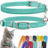 CollarDirect leather cat collar in mint green with bell for easy visibility.