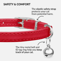CollarDirect soft leather cat collar—texture closeup emphasizes gentle comfort for kittens.