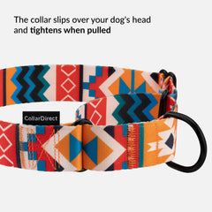 CollarDirect nylon dog collar heavy-duty hardware detail highlights reliable training support.