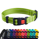 CollarDirect reflective dog collar in lime green on a medium dog for high visibility.