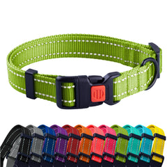 CollarDirect reflective dog collar in lime green on a medium dog for high visibility.