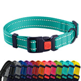 CollarDirect reflective dog collar mint green with quick-release buckle for safer night walks