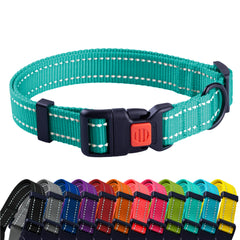 CollarDirect reflective dog collar mint green with quick-release buckle for safer night walks